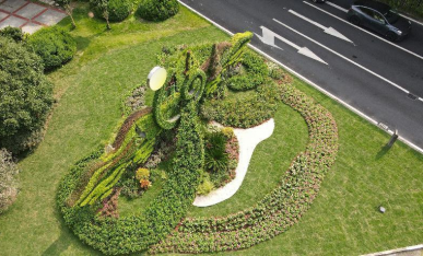 項(xiàng)目俯視圖