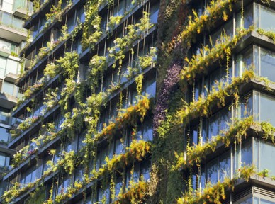 小區(qū)立體綠化解決方案簡介