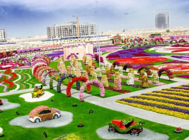 公園景觀提升解決方案簡介