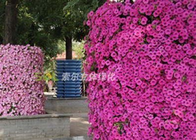 行道樹綠化解決方案