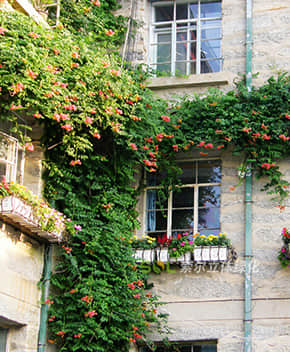 窗臺(tái)美化解決方案